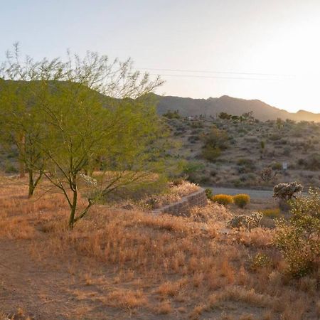 Experience Desert Serenity Gateway To Джошуа-Три Экстерьер фото