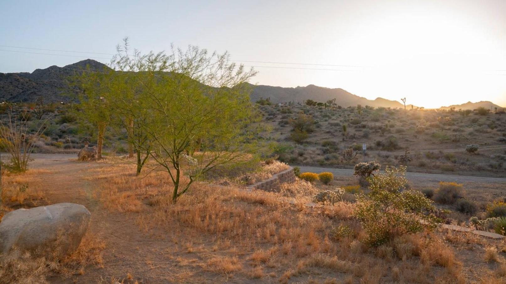 Experience Desert Serenity Gateway To Джошуа-Три Экстерьер фото